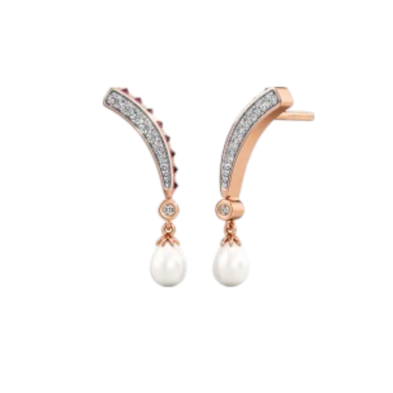 Sterling Silver Earring